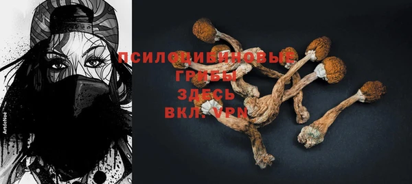молекула духа Верхний Тагил