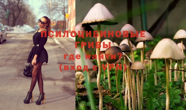 прущая мука Верея