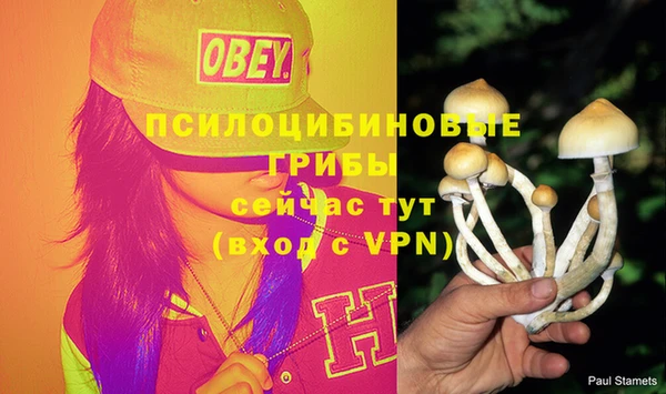 прущая мука Верея